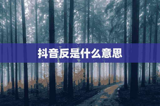 抖音反是什么意思